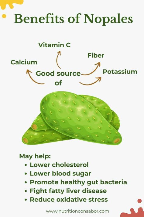 illustration of nopales (cactus) with text describing health benefits of nopales. Nopal Benefits, Prickly Pear Benefits, Nopales Benefits, Benefits Of Cactus, Cactus Benefits, Healthy Mexican Food, Nopales Recipe, Cactus Recipe, Cactus Food