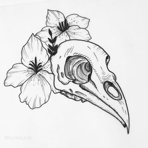 Bird skull  #inkart #tattoo #illustration #skull #bird #flower Bird Skull With Flowers Tattoo, Traditional Bird Skull Tattoo, Raven Skull With Flowers Tattoo, Raven Skull Tattoo Flower, Skull And Flower Painting, Crow Skull Tattoo Design, Hawk Skull Tattoo, Vulture Skull Tattoo, Gothic Bird Tattoo