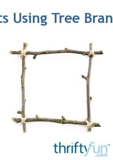 Whether fresh or dry, branches and twigs are a thrifty supply to create a variety of things. This guide is about crafts using tree branches. Willow Tree Branch, Branch Crafts, Tree Branch Crafts, Small Pine Cones, Twig Crafts, Tree Branch Decor, Twig Art, Dry Branch, Branch Art