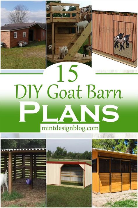 Goat Barn Plans, Goat Shelters, Goat Playground, Goat Shed, Goat Pen, Barn Layout, Livestock Shelter, Goat Shelter, Small Goat