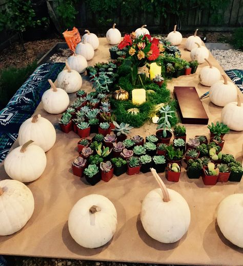 Fall Garden Birthday Party, Pumpkins And Petals Party, Fall Garden Party Ideas, Fall Birthday Party Themes, Fall Backyard Party Ideas, Pumpkin Succulent Centerpiece, Fall Backyard Party, Pumpkin Centerpieces Diy, Fall Garden Party