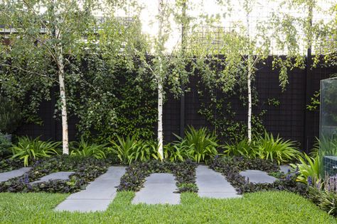 House Front Garden, Front Garden Landscaping, Birch Trees Garden, Front Garden Design Ideas, Birch Trees Landscaping, Small Front Gardens, Betula Pendula, White Birch Trees, Front Garden Landscape