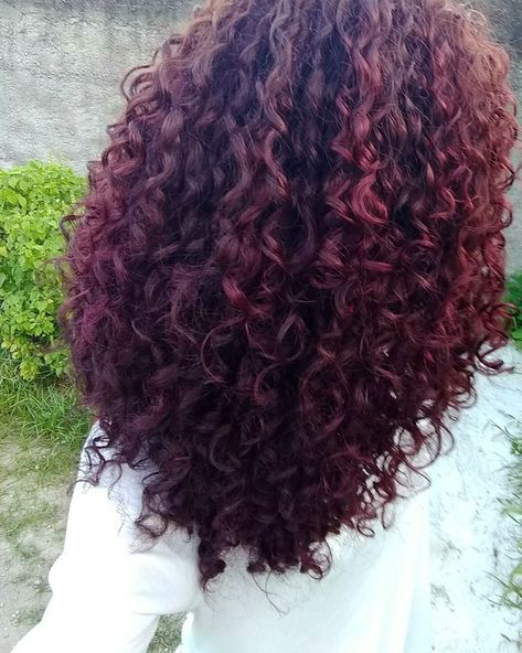 Curly Hair White Girl, Burgundy Curly Hair, Hair Color Cherry Coke, White Curly Hair, Red Purple Hair, Black Cherry Hair, Purple Hair Highlights, Cherry Hair Colors, Curly Afro Hair