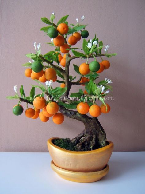 Orange Bonsai | Clay Flower Art Like this. Bonsai Fruit Tree, Bonsai Art, Miniature Trees, Bonsai Plants, Bonsai Garden, Orange Tree, Growing Tree, Small Trees, Bonsai Tree