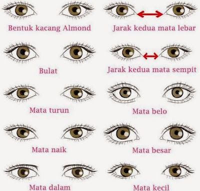 Kurung Lace, Bentuk Mata, Bentuk Alis, Essential Oils For Pregnancy, Thicker Eyelashes, Wedding Makeup Looks, Cute Flower Wallpapers, Perfect Eyebrows, Clothes Sewing