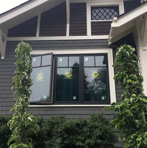 Casement Windows Exterior, Craftsman Windows, Front Door Inspiration, Door Projects, Porch Windows, Pella Windows, Picture Window, Seattle Homes, French Doors Patio