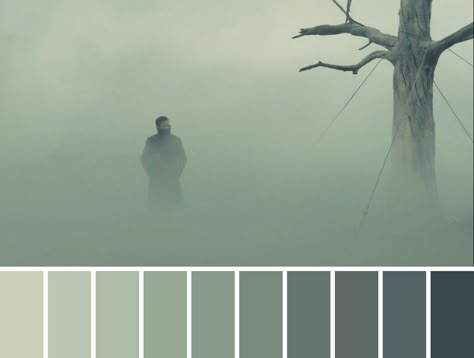 movie & film cinematography color palette Animation Color Palette, Macbeth Movie, Cinematic Color Palette, Mental Crisis, Aesthetic Folder, Cinematic Portrait, Color In Film, Monochromatic Colors, Movie Color Palette