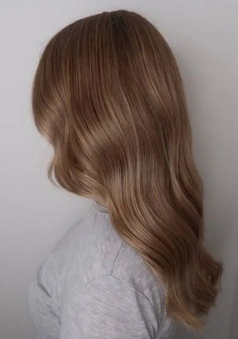 Summer 2020 Hair Color Trends, Brown Hair Inspiration, Dark Blonde Hair Color, Honey Blonde Hair, Ash Blonde Hair, Strawberry Blonde Hair, Dark Blonde Hair, Honey Hair, Blonde Hair Looks