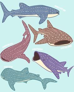 Whale shark Shark Drawing Easy, Whale Shark Drawing, Shark Whale, Shark Painting, Shark Illustration, Whale Drawing, Ocean Illustration, Shark Drawing, Shark Coloring Pages