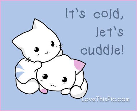 Let's cuddle quotes quote winter snow Cuddles Please, Cuddle Weather Quotes, Winter Cuddles, Cuddle Pictures, Cuddle Quotes, Cuddle Weather, Girls Cuddling, Weather Quotes, Cuddle Time