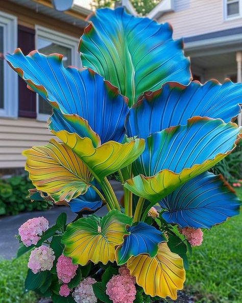 Giant Leaves, Elephant Ears, Unusual Flowers, Easy Garden, Exotic Flowers, Lawn And Garden, Live Plants, Tropical Plants, Botanical Art