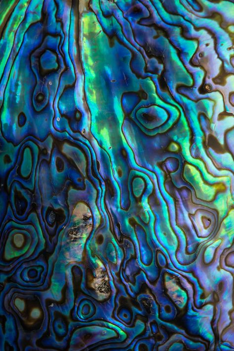 Siren Sisters, Stones Wallpaper, Katie Wright, Nature Patterns, Environment Reference, Pearl Gray, Color Board, Whatsapp Wallpaper, Paua Shell