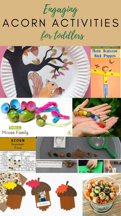 Explore a treasure trove of engaging acorn activities for toddlers! From sensory bins to nature crafts, these hands-on ideas will spark creativity and learning in your little ones. Get ready for some educational fun with these awesome acorn activities! Animated Movies For Kids, Reading Diy, Acorn Crafts, Easy Christmas Ornaments, Puppet Crafts, Kids Crafting, Outdoor Activities For Kids, Easy Activities, Halloween Crafts For Kids