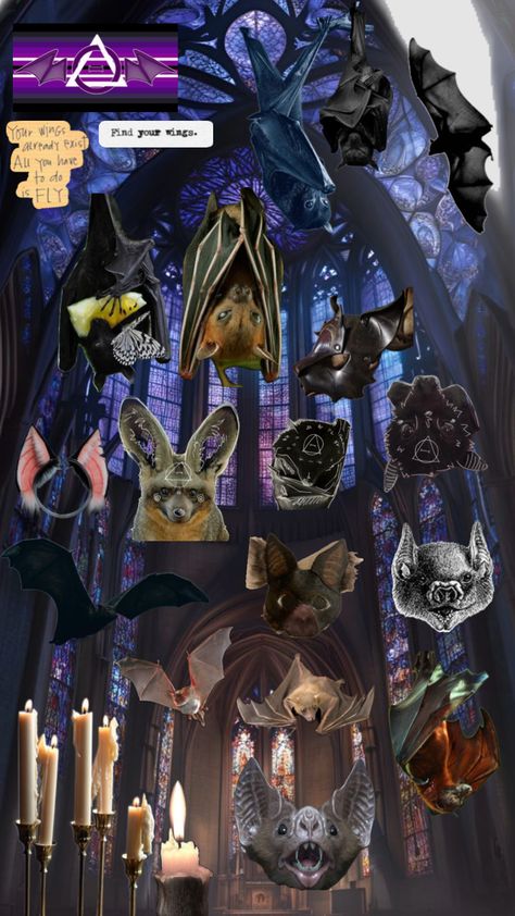 Bat Therian Bat Therian, Bat