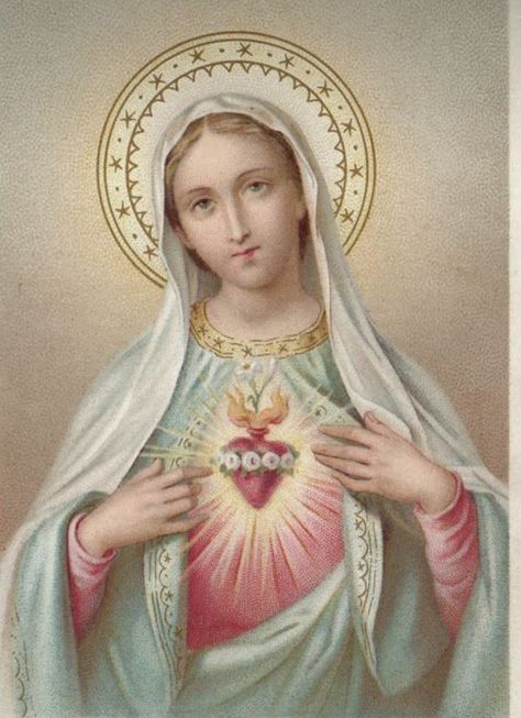 Mary Day, Vintage Holy Cards, Immaculate Heart Of Mary, Spiritual Images, Heart Of Mary, Images Of Mary, Immaculate Heart, Mama Mary, Swag Art