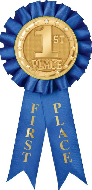 Color Insert Rosette Ribbons | 1st Place Rosette Ribbon Rainbow Dash Aesthetic, Manifestation Boards, 1st Place Ribbon, First Place Ribbon, Blue Ribbon Award, Rosette Ribbon, Paper Rosettes, 1st Place, 1 Place