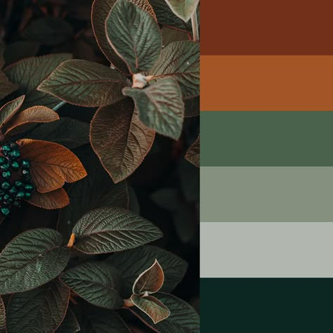 Jade And Rust Color Palette, Orange Black Green Palette, Dark Green Rust Color Palette, Green Copper Palette, Dark Botanical Color Palette, Fall Forest Color Palette, Emerald Green And Rust Color Palette, Clay And Green Color Palette, Black Green Orange Color Palette