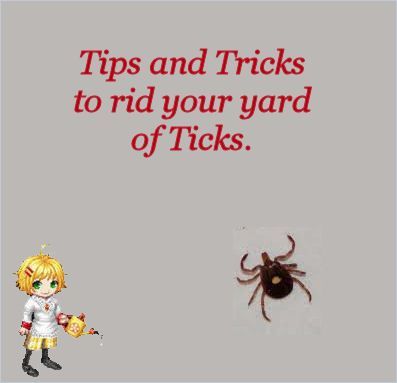 How to Get Rid of Ticks around your Yard -  http://thegardeningcook.com/get-rid-of-ticks-in-your-yard/ Get Rid Of Ticks, Gardening Advice, Yard Work, Garden Pests, Lawn And Garden, Outdoor Projects, Pest Control, Ticks, Things To Know