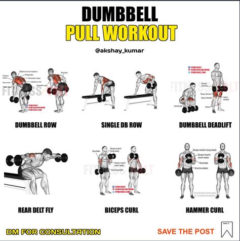 Pull Day Exercises At Home, Push Pull Legs Dumbbell Workout, Pull Workout Exercises Dumbells, Push Dumbell Workout, Pull Day Workout Db, Pull Home Workout, Dumbbell Only Pull Day, Dumbell Pull Day Workout, Push Pull Dumbbell Workout