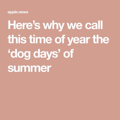 Here’s why we call this time of year the ‘dog days’ of summer Brightest Star In The Sky, Star In The Sky, Dog Days Of Summer, Old Quotes, Star Sky, Apple News, Household Hacks, Dog Days, National Geographic