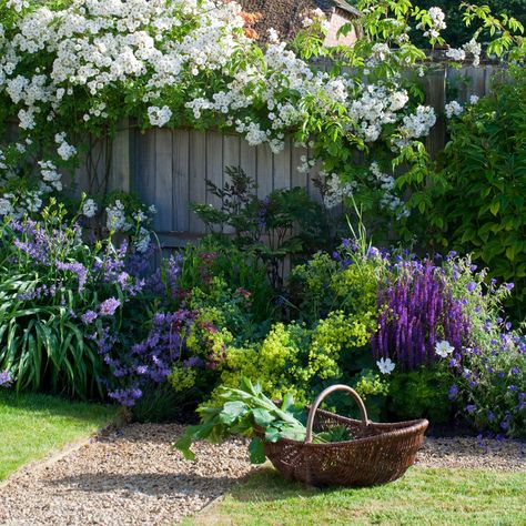 Garden edging ideas to give gardens the perfect finishing touch Common Flowers, Concrete Patios, Cottage Garden Design, Cottage Garden Plants, English Country Gardens, Traditional Garden, Garden Edging, Garden Tours, Garden Borders