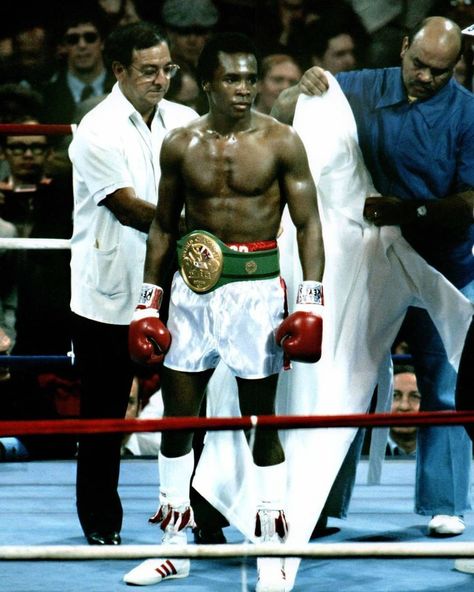 483 Me gusta, 15 comentarios - @boxingpastandpresent en Instagram: "Where do u rank the great Sugar Ray Leonard all time pound for pound? . . COMMENT BELOW…" Sugar Ray Leonard, Ray Leonard, Boxing Images, Boxing Ring, Boxing History, Professional Boxer, Sports Personality, Boxing Champions, Sport Icon