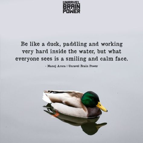 Water Off A Ducks Back Quotes, Duck Quotes, Duck Pictures, Motivation Shirt, Life Quotes Pictures, Quotes Pictures, A Duck, Brain Power, Cute Song Lyrics