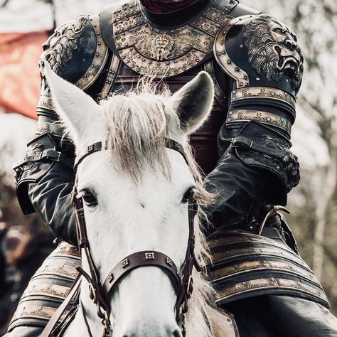 Jaime Lannister Cersei Lannister Jaime, Lannister Aesthetic, Hogwarts Founders, Shingeki No Bahamut, Robb Stark, Got Characters, Captive Prince, Jaime Lannister, Cersei Lannister