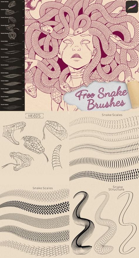 Snake Tattoo Brushes Procreate Snake Brush Ibis Paint, Ibis Paint Tattoo Brush, Ibis Pattern Brush, Procreate Brushes Free Download, Link Painting, Scales Tattoo, Painting Snake, Procreate Downloads, Procreate Brushes Download