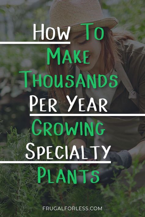 How Much Food To Grow Per Person, Jobs With Plants, Growing And Selling Plants, Make Money Selling Plants, Selling Herbs For Profit, Plant Selling Business, Profitable Farming Ideas, Free Plants How To Get, Best Plants To Grow And Sell