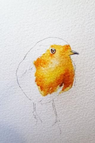 Watercolor Birds Tutorial, Bird Watercolor Paintings, Watercolour Ideas, Watercolor Birds, Paintings Tutorials, Watercolor Paintings For Beginners, A Robin, Watercolor Lessons, Watercolor Paintings Easy