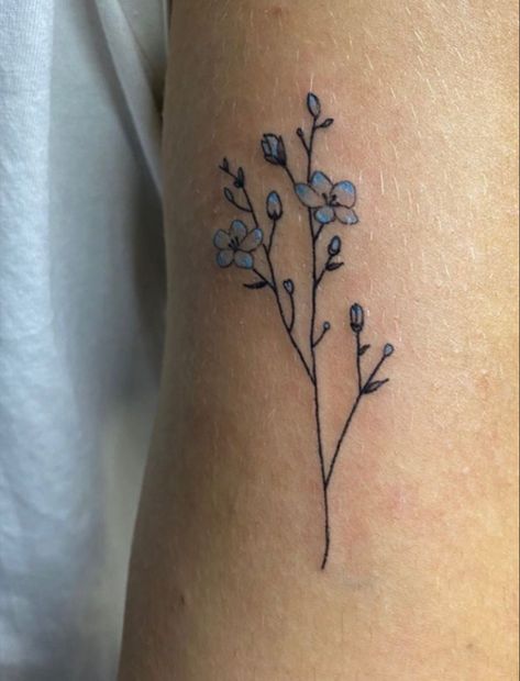 Forget Mr Not Flower, Small Vintage Flower Tattoo, Simple Forget Me Not Drawing, Simple Forget Me Not Tattoo, Forget Me Not Flowers Drawing Simple, Forget Me Not Sketch, Small Forget Me Not Tattoo, Tattoo Forget-me-nots, Fine Line Forget Me Not Tattoo