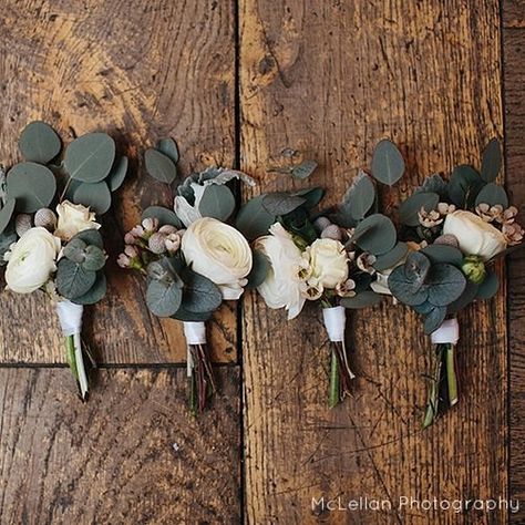 Winter white & green buttonholes for the boys. Ranunculus, eucalyptus populus, silver dollar, waxflower @mclellanphotography Country Winter Wedding Ideas, Eucalyptus Populus, Flower Girl Petals, Fresh Wedding Flowers, Button Holes Wedding, Winter Wedding Flowers, Faux Flower Arrangements, Corsage Wedding, Button Holes