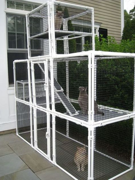 Diy Cat Enclosure, Cat Habitat, Katt Grejer, Cat Enclosures, Cat Kennel, Cat Patio, Ragdoll Kittens, Outdoor Cat Enclosure, Cat Run