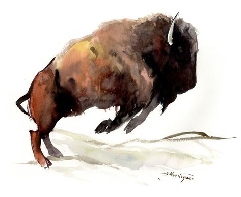 Buy Bison, Watercolor by Suren Nersisyan on Artfinder. Discover thousands of other original paintings, prints, sculptures and photography from independent artists. Bison Artwork, Watercolor Buffalo, Buffalo Art Print, Buffalo Painting, Bison Art, Buffalo Art, American Bison, Bird Artwork, Watercolor Animals