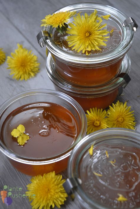 The best vegan dandelion honey - that actually tastes like honey • PlantePusherne - vegansk mad Dandelion Honey, Vegan Honey, Dandelion Jelly, Going To, Creamed Honey, Dandelion Recipes, Honey Recipes, Greens Recipe, Edible Flowers