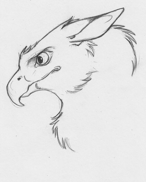 Mythical Creatures Drawings, Dragon Sketch, Creature Drawings, Mythical Creatures Art, Dragon Drawing, Creature Concept Art, Animal Sketches, Barn Owl, Dragon Art