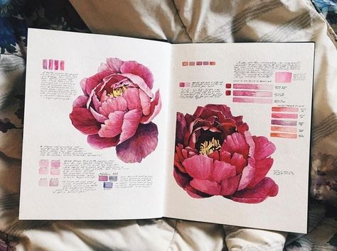 Kunstjournal Inspiration, Botanical Sketchbook, Sketchbook Layout, Natural Form Art, Gcse Art Sketchbook, A Level Art Sketchbook, Instagram Light, Illustration Botanique, Japon Illustration