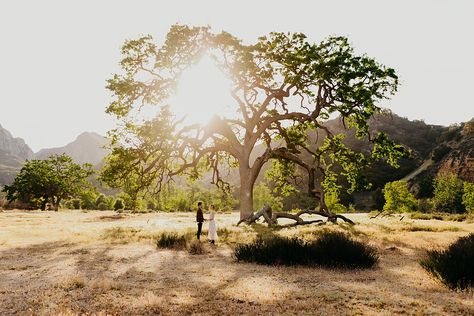 Malibu Creek State Park, Meadow Wedding, Engagement Shots, Engagement Photo Inspiration, Best Location, Engagement Shoot, Engagement Shoots, Engagement Photographer, Engagement Photo