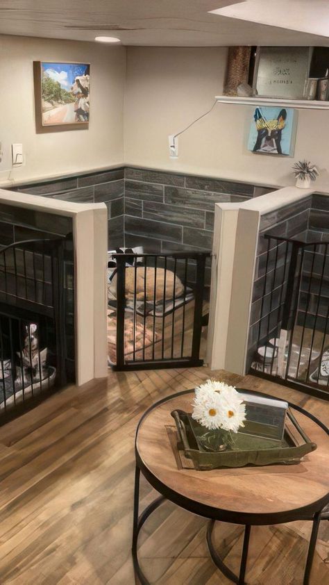 Dog Kennel Inside, Indoor Dog Pen, Dog Room Design, Outdoor Dog Area, Whelping Puppies, Hotel Pet, Dog Boarding Facility, Dog Boarding Kennels, Dog Room Decor