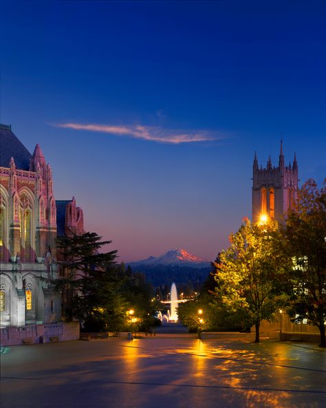 Washington State University Campus, College Inspiration, Seattle University, University Of Washington Huskies, College Vision Board, Washington State University, School Campus, College Aesthetic, Dream College