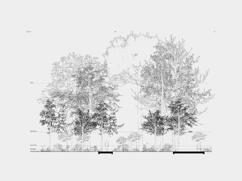 51N4E , Filip Dujardin, Blerta Kambo · Skanderbeg Square · Divisare Landscape Architecture Graphics, Landscape Design Drawings, Section Drawing, Conceptual Drawing, Architecture Panel, Architecture Presentation Board, Plans Architecture, Architecture Collage, Architecture Graphics