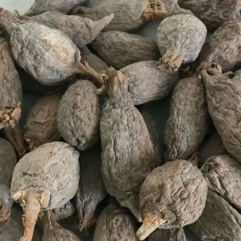 HANNY_BEAUTYSTORE on Instagram: “Kindly order for your Nigeria original alligator pepper (atare)” Alligator Pepper, Choppy Bob Hairstyles For Fine Hair, African Spices, Hot And Spicy, Choppy Bob, Bob Hairstyles For Fine Hair, Spices And Seasonings, Seed Pods, Seasoning Mixes