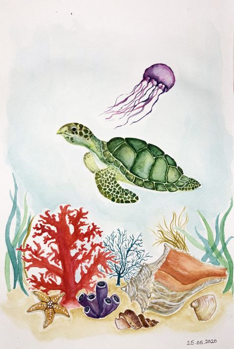 Cute Turtle Painting, Watercolor Animals Easy, Watercolour Turtle, Turtle Watercolor Painting, Sea Turtle Watercolor Painting, Biology Drawing, Watercolor Turtle, Sea Turtle Drawing, Watercolor Sea Turtle