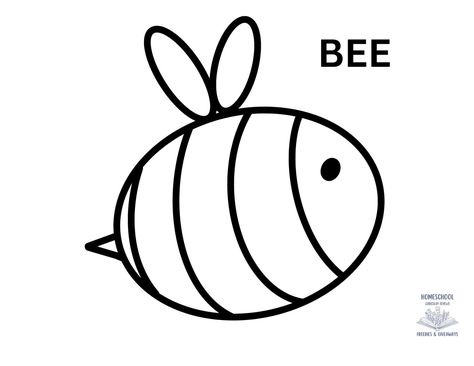 Bee Coloring Pages - HomeSchool Freebies and Giveaways Bee Coloring Page, Bee Outline, Bee Coloring, Bee Printables, Bee Coloring Pages, Homeschool Freebies, Read Aloud, Favorite Books, Coloring Pages