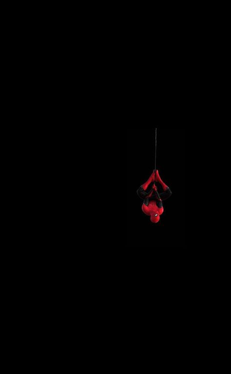 Red And Black Spider, Spiderman Comic Art, Trippy Cartoon, Hd Dark Wallpapers, Dark Wallpapers, Boss Wallpaper, Photos For Profile Picture, Amazing Nature Photography, Background Wallpaper For Photoshop