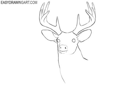 How to Draw a Deer Head | Easy Drawing Art Elk Drawing Easy, Deer Face Drawing, Deer Head Outline, Deer Drawing Easy, Draw A Deer, Elk Drawing, Deer Face, Deer Heads, Deer Drawing