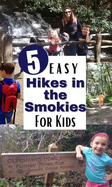 The Great Smoky Mountains National Park offers a week's worth of hiking families. With that, we've put together this Smoky Mountains Vacation Guide with our pick for the best Smoky Mountains Hikes for Kids. #smokymountains #gatlinburg #hikes #hikingwithkids Tennessee Family Vacation, Gatlinburg Tennessee Vacation, Smokey Mountains National Park, Smokey Mountains Vacation, Gatlinburg Vacation, Smoky Mountains Vacation, Mountain Aesthetic, Tennessee Travel, Mountain Drawing