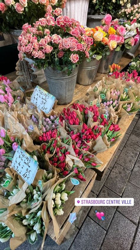 Strasbourg France Winter, Strasburg France, Study Abroad France, France Flowers, Best Christmas Destinations, Aesthetic Winter Outfit, France Winter, Wishlist Christmas, Alsace Lorraine