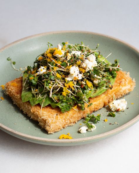 Tofu Cutlets with Avocado & Citrus Sprout Salad - Justine Doiron Tofu Cutlets, Justine Doiron, Baked Cabbage, Vegan French, Sprout Salad, Tofu Salad, Alfalfa Sprouts, Savoy Cabbage, Sprouts Salad